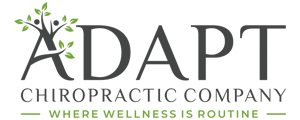 Chiropractic Papillion NE Adapt Chiropractic Company